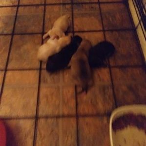 Meet your Posher, Donnal